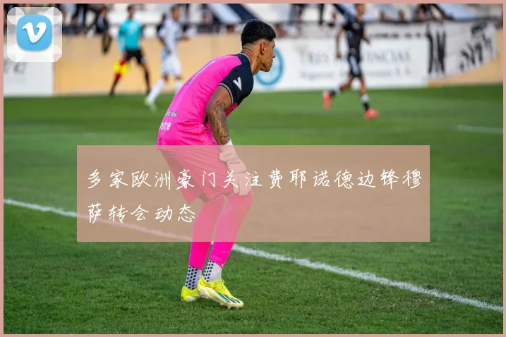 多家欧洲豪门关注费耶诺德边锋穆萨转会动态