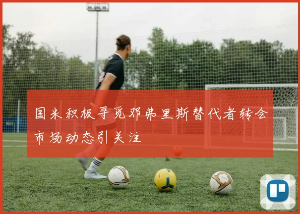 国米积极寻觅邓弗里斯替代者转会市场动态引关注